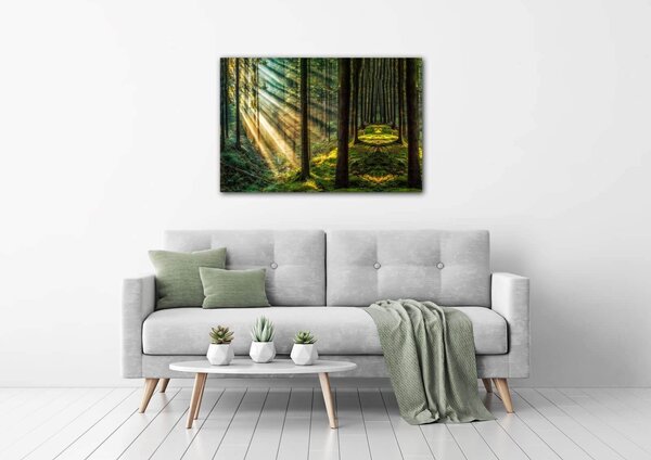 Impresi Tablou Beautiful forest - 60 x 40 cm