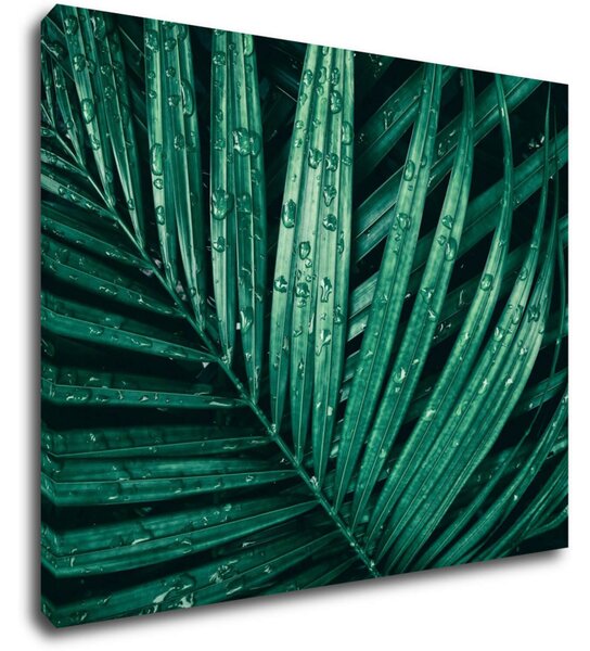 Impresi Tablou Green leaf with drops of water - 90 x 70 cm