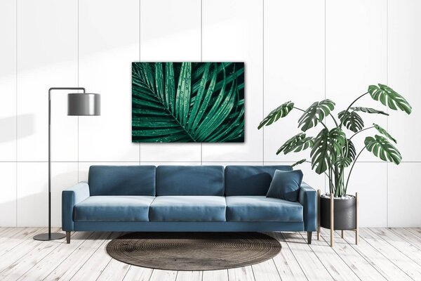 Impresi Tablou Green leaf with drops of water - 70 x 50 cm