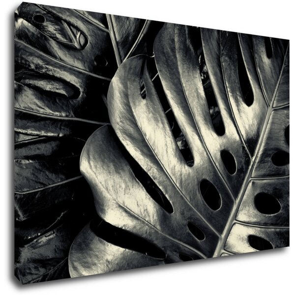 Impresi Tablou Black and white leafs - 60 x 40 cm