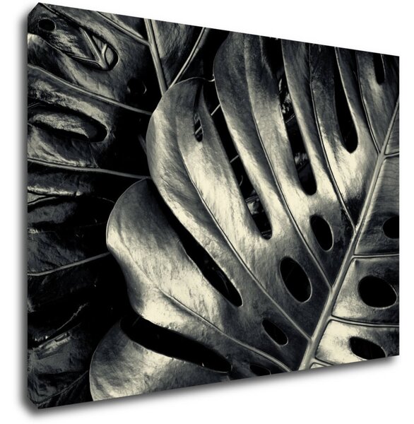 Impresi Tablou Black and white leafs - 70 x 50 cm