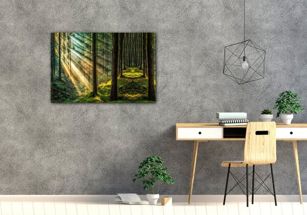Impresi Tablou Beautiful forest - 60 x 40 cm