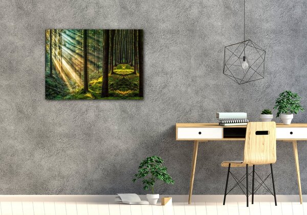 Impresi Tablou Beautiful forest - 70 x 50 cm