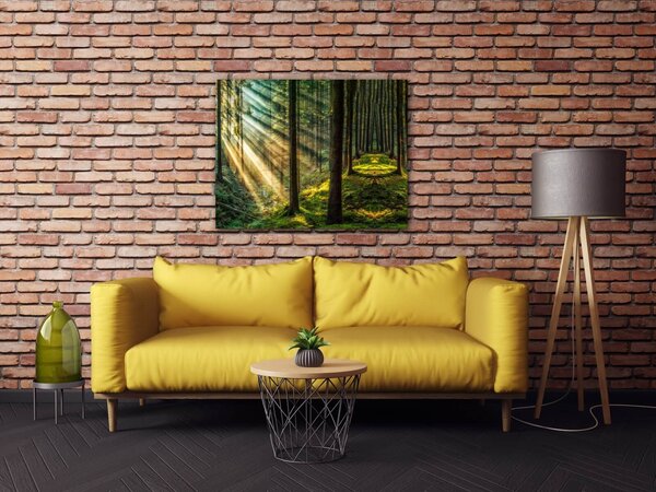 Impresi Tablou Beautiful forest - 90 x 70 cm