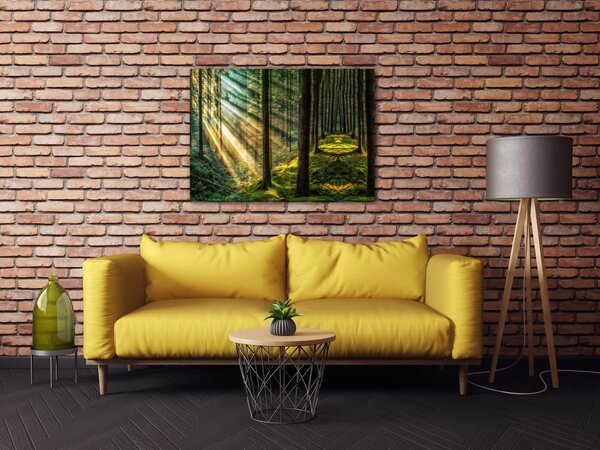 Impresi Tablou Beautiful forest - 70 x 50 cm