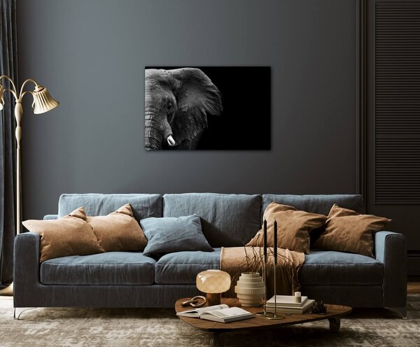 Impresi Tablou Elephant black background - 60 x 40 cm