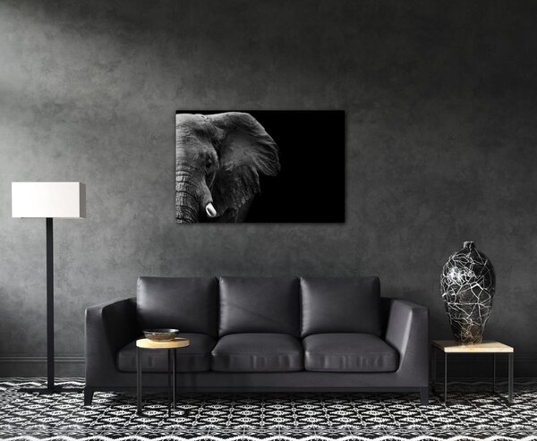 Impresi Tablou Elephant black background - 60 x 40 cm