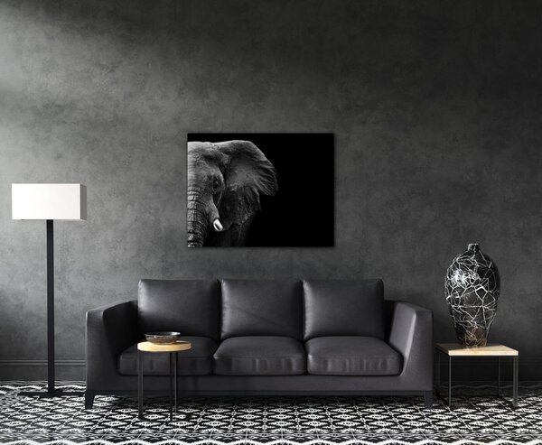 Impresi Tablou Elephant black background - 90 x 70 cm