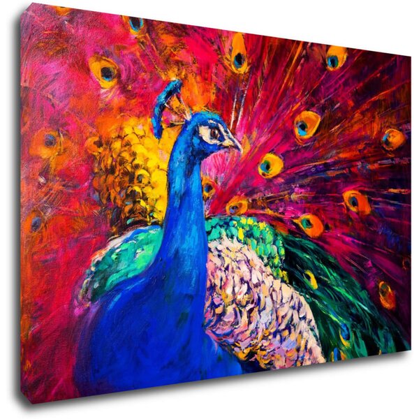 Impresi Tablou Colorful Peacock - 60 x 40 cm