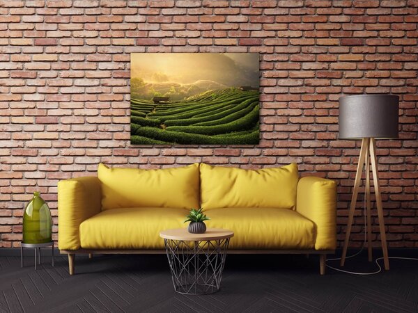 Impresi Tablou Sunrise On The Tea Plantation - 70 x 50 cm