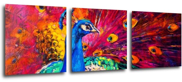 Impresi Tablou Colorful Peacock - 90 x 30 cm (3-piese)