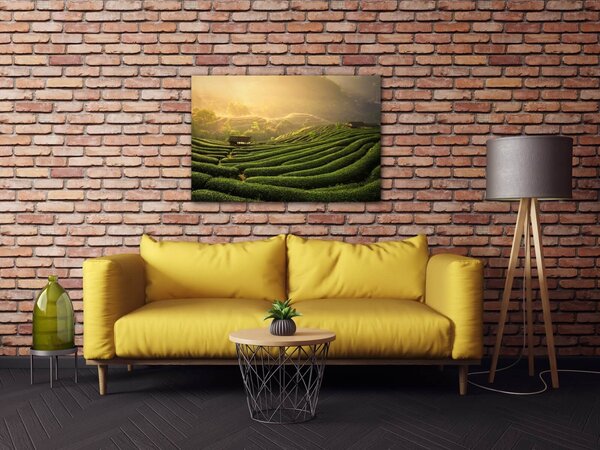 Impresi Tablou Sunrise On The Tea Plantation - 60 x 40 cm