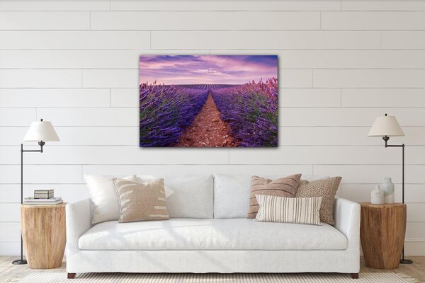 Impresi Tablou Lavender field - 60 x 40 cm