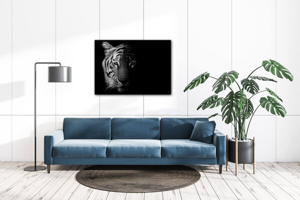 Impresi Tablou Tiger black and white - 70 x 50 cm