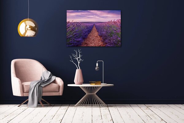 Impresi Tablou Lavender field - 60 x 40 cm