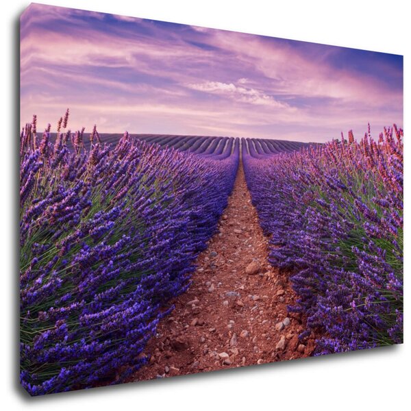 Impresi Tablou Lavender field - 60 x 40 cm