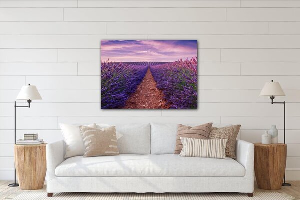 Impresi Tablou Lavender field - 70 x 50 cm