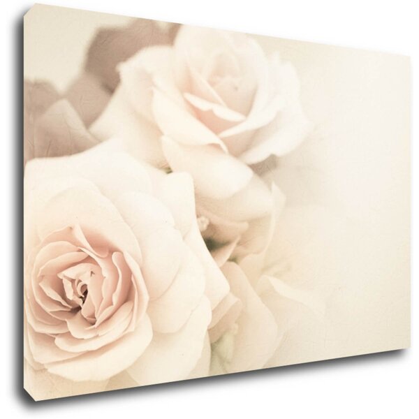 Impresi Tablou White roses - 60 x 40 cm