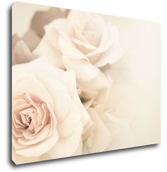 Impresi Tablou White roses - 70 x 50 cm