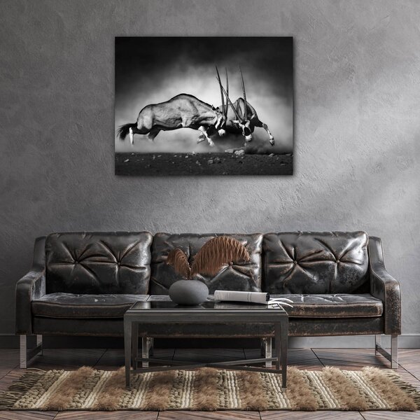 Impresi Tablou Antilopes black and white - 90 x 70 cm