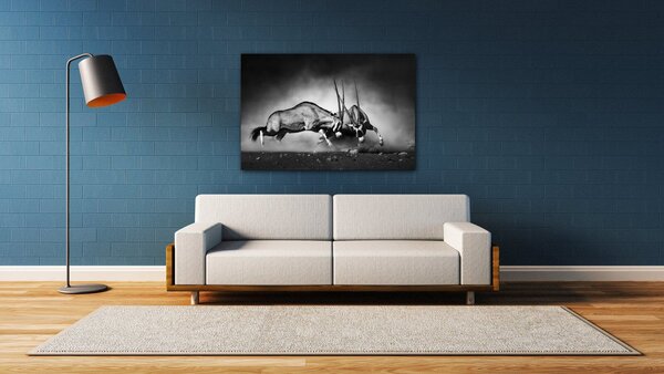 Impresi Tablou Antilopes black and white - 60 x 40 cm