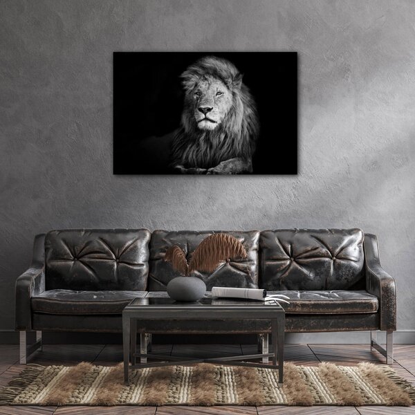 Impresi Tablou Lion black and white - 60 x 40 cm