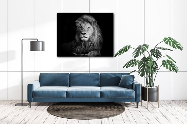 Impresi Tablou Lion black and white - 90 x 70 cm