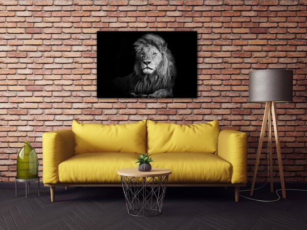 Impresi Tablou Lion black and white - 60 x 40 cm
