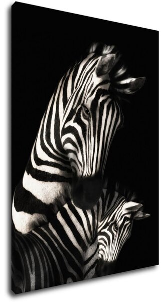 Impresi Tablou Zebras black and white - 50 x 70 cm
