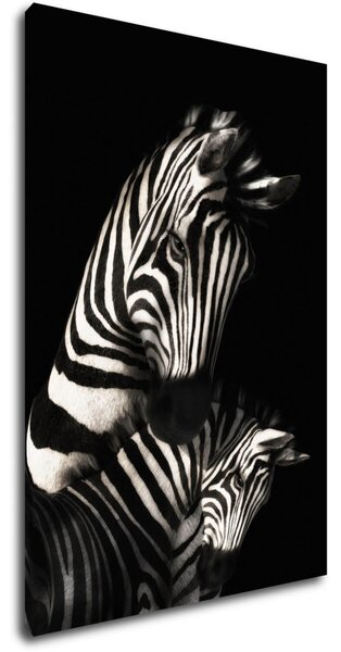 Impresi Tablou Zebras black and white - 60 x 40 cm