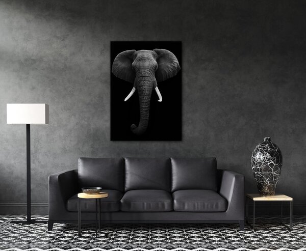 Impresi Tablou Elephant dark - 50 x 70 cm