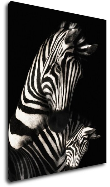 Impresi Tablou Zebras black and white - 70 x 90 cm