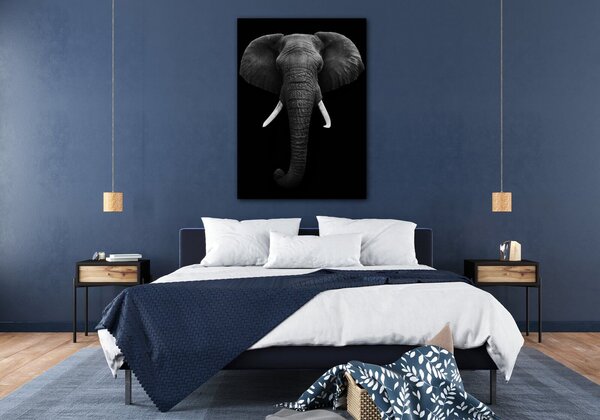 Impresi Tablou Elephant dark - 50 x 70 cm