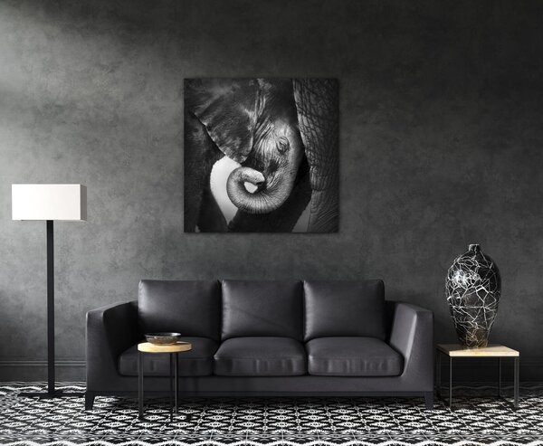 Impresi Tablou Elephant black and white - 50 x 50 cm