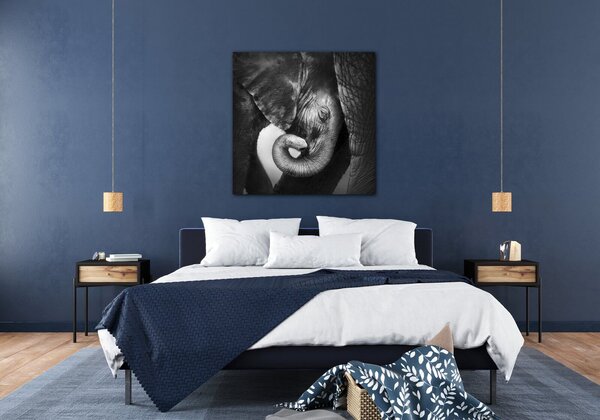 Impresi Tablou Elephant black and white - 50 x 50 cm