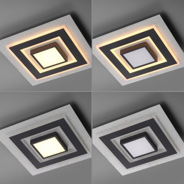 JUST LIGHT. 14439-21 - LED Plafonieră CICHIO LED/18,5W/230V + LED/9W neagră