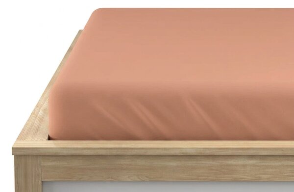 Cearsaf Jersey BASIC piersic 90 x 200 cm
