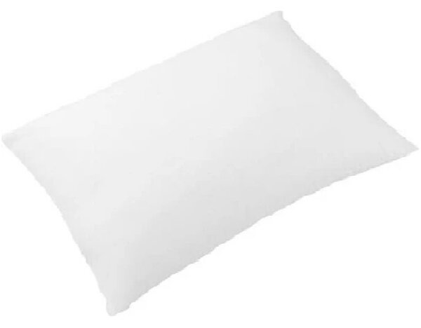 Perna visco, Homs 50 x 70 cm.00200