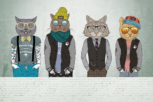 Fototapet Un grup de pisici îmbrăcate, Fototapet animale, Fototapet populare, u28592v1 - Tapeko.ro