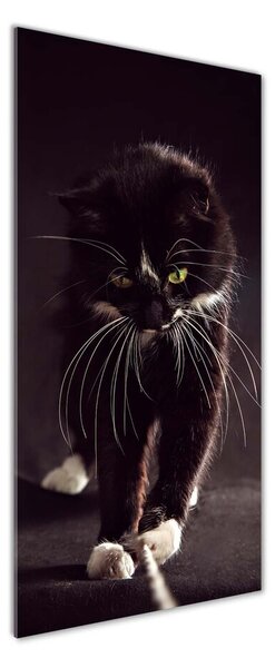 Imagine de sticlă Pisica neagra