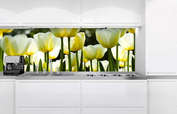 Fototapet pentru bucătărie - lalele albe 180 x 60 cm