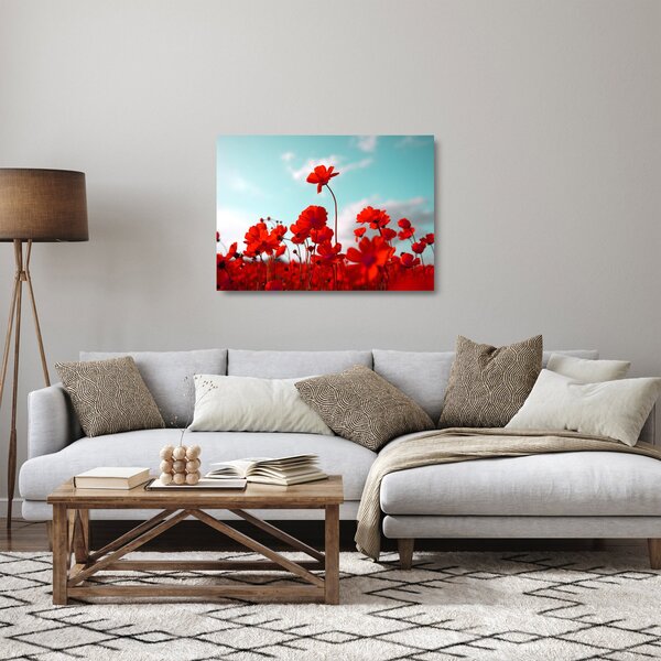 Tablou pe sticlă - Câmp cu flori roșu deschis (70x50 cm)