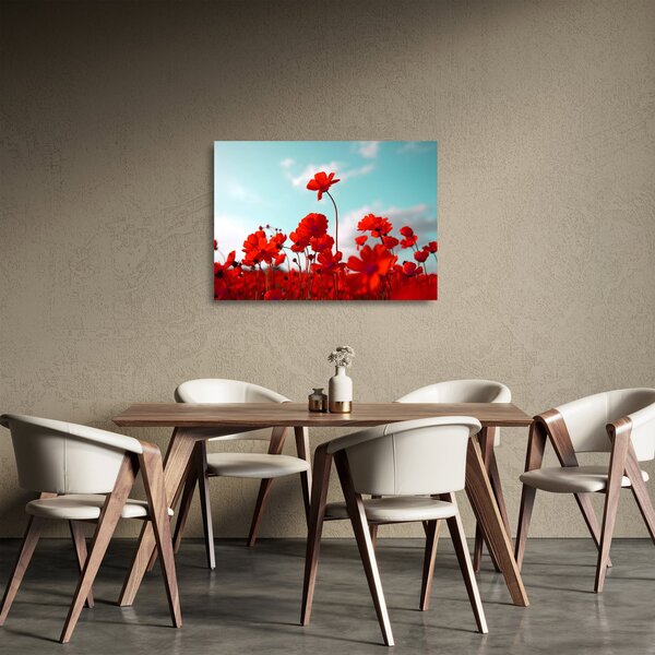 Tablou pe sticlă - Câmp cu flori roșu deschis (70x50 cm)