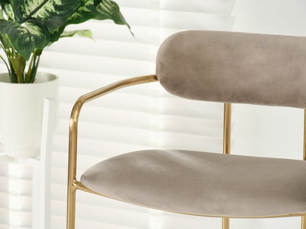 Scaun Viola (bej + auriu). Promo -14%. 1110752