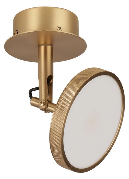 UMAGE Spot LED Asteria Spot, Ø 12 cm, placat cu alamă, reglabil, Auriu / Alamă, Camera de zi / sufragerie, Metal, Design