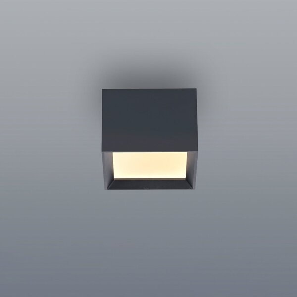 PURE Plafonieră LED Manhatten, gri mistic, 1 bec, CCT, reglabil, Gri, Hol, Aluminiu, Modern