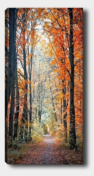 Tablou 451ERN1858, multicolor, panza, 50x120 cm