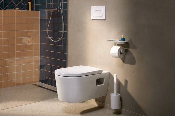Hansgrohe WallStoris perie de toaletă înșurubat alb 27927700