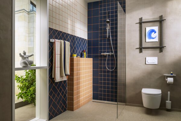 Hansgrohe WallStoris perie de toaletă înșurubat alb 27927700