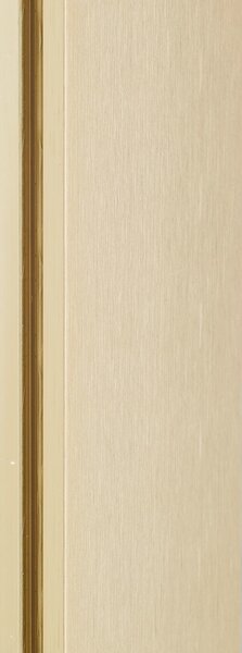 Sealskin Contour perete cabină de duș walk-in 100 cm auriu periat/sticla transparentă CDA30986495100